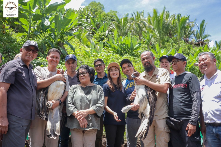 Philippine Eagles in Leyte